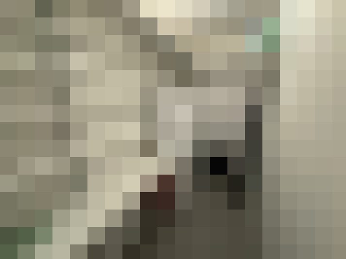 / #9