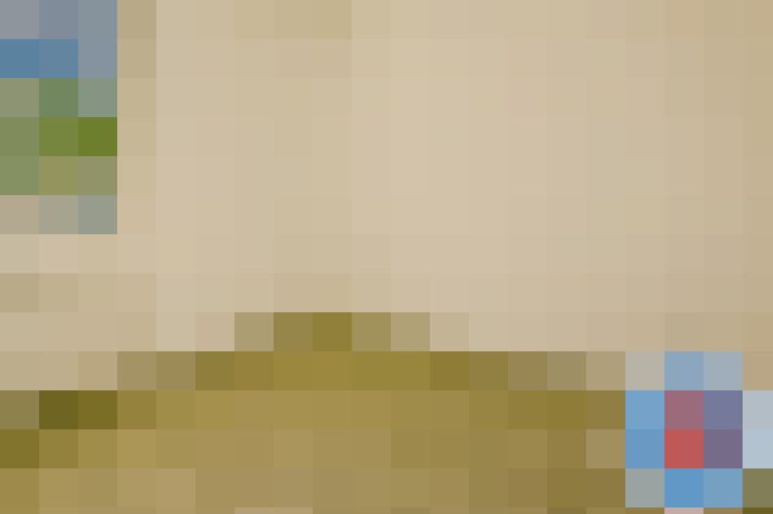  / #11