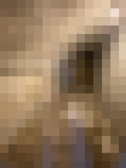  / #6
