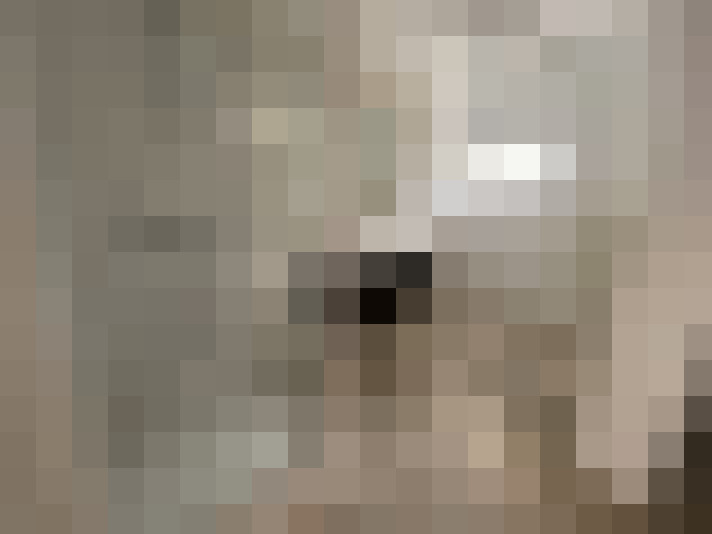  / #12