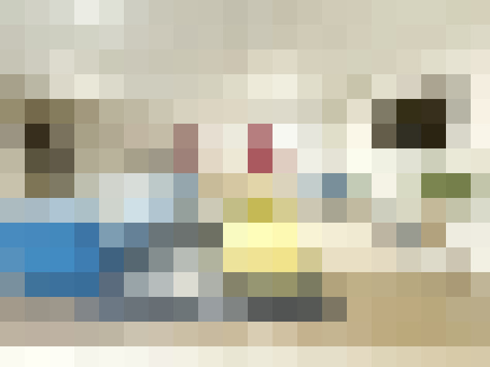  / #17