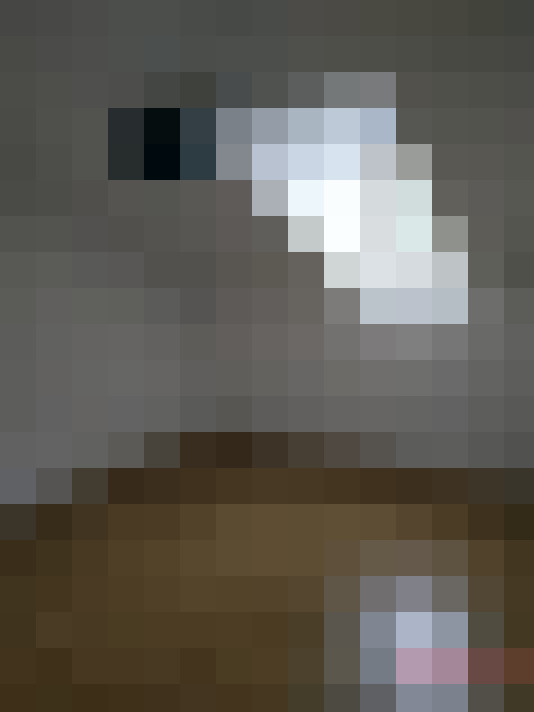  / #11