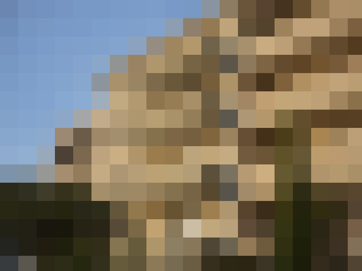  / #6