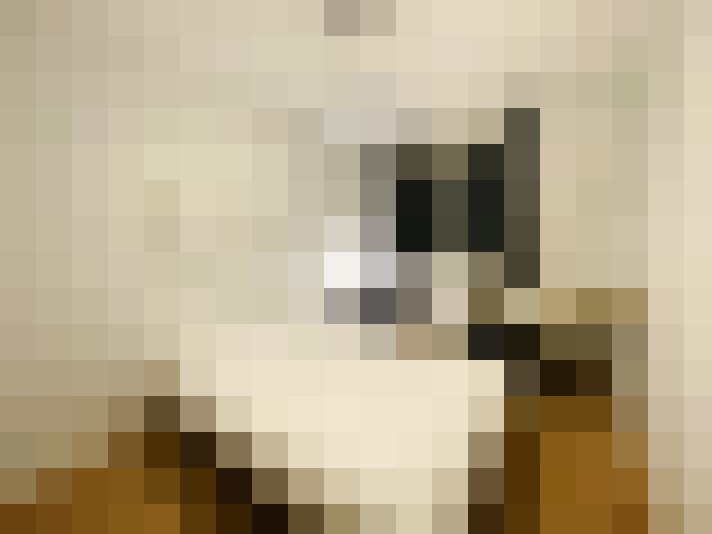  / #8