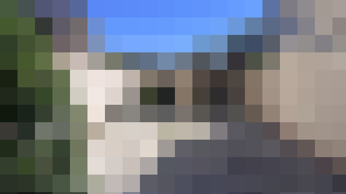  / #11