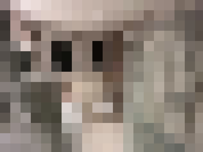  / #11