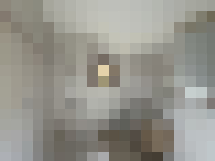  / #8
