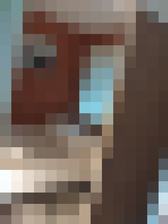  / #6