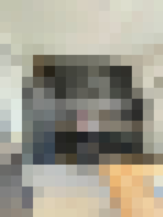  / #15