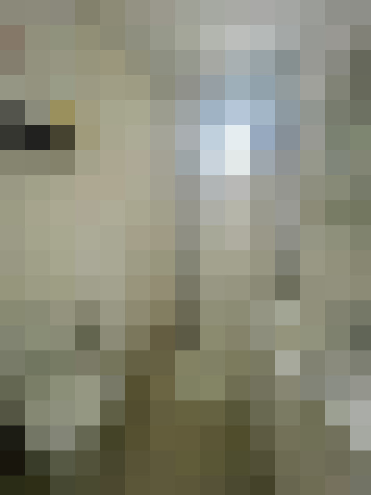  / #8