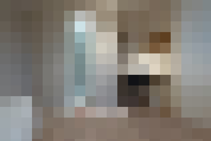  / #12