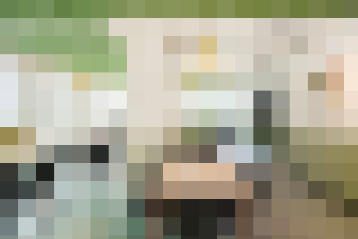  / #15