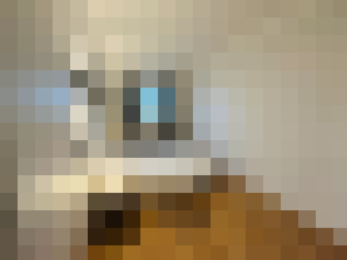  / #15