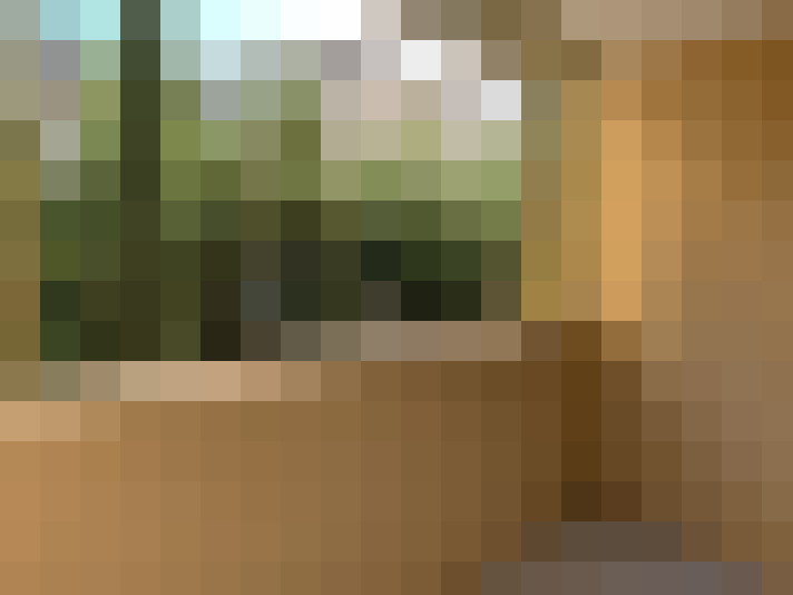  / #6