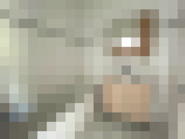  / #11