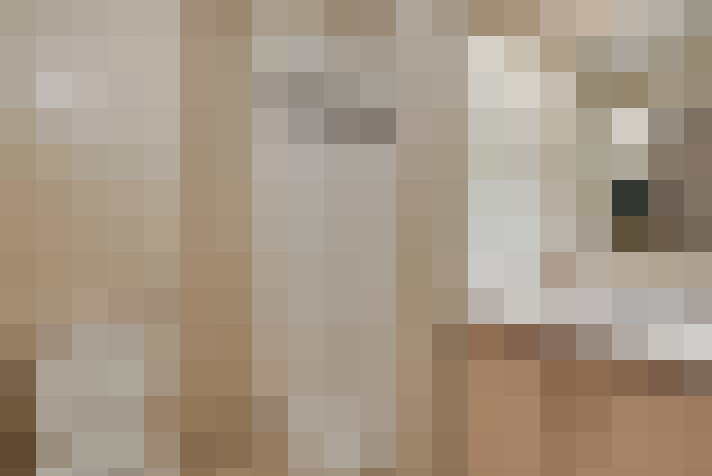  / #16