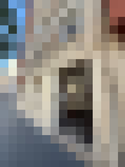  / #17