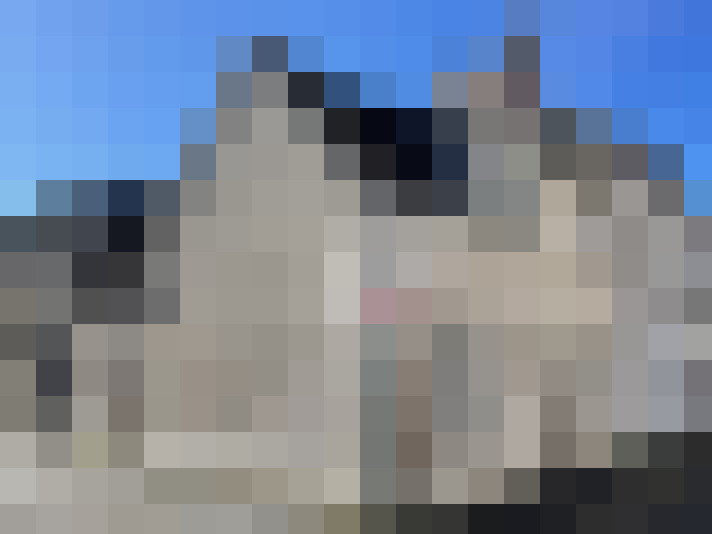  / #8