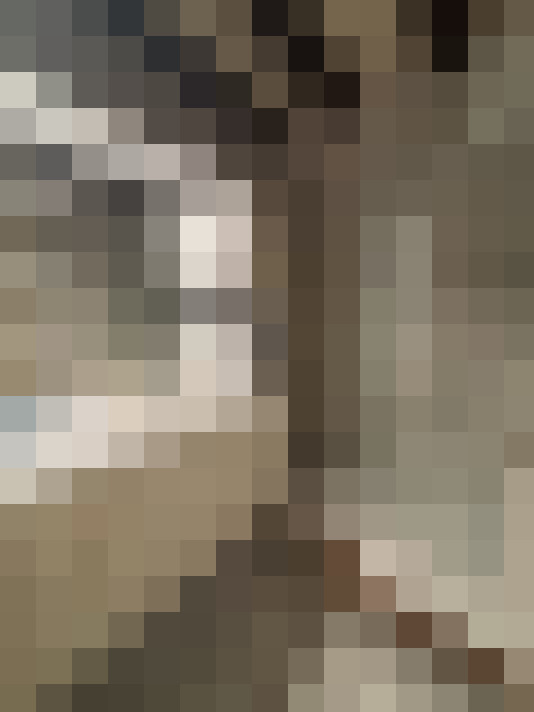  / #8