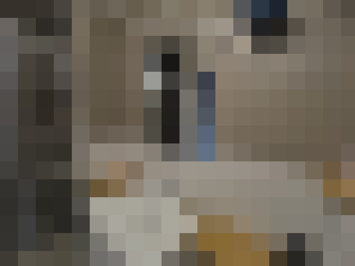  / #6