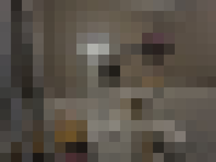  / #8