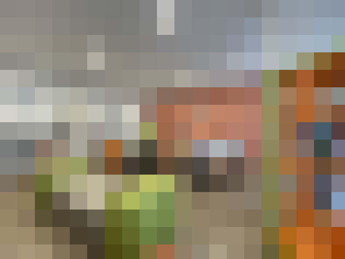  / #20