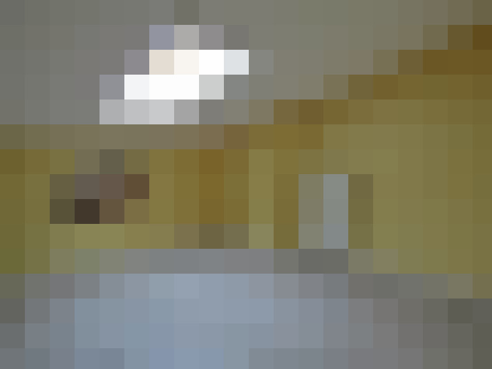  / #5