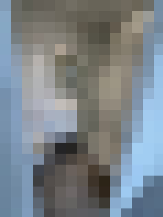  / #7