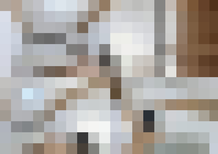  / #17