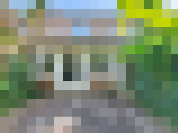  / #12