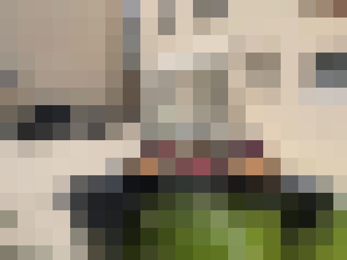  / #13