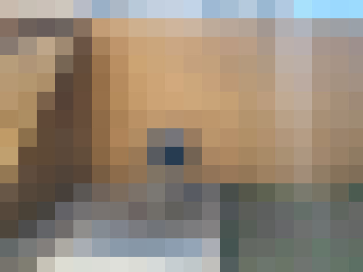  / #15