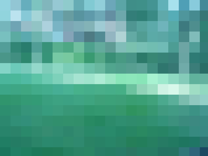  / #15