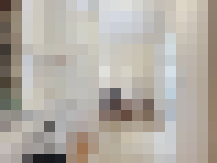  / #14