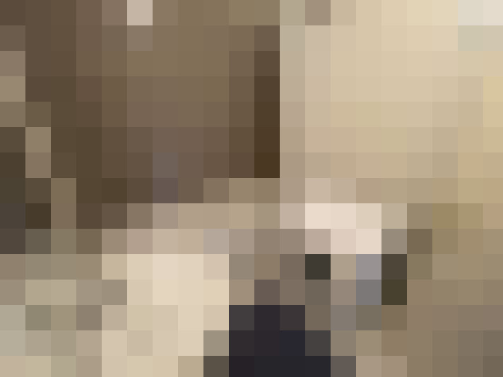  / #6