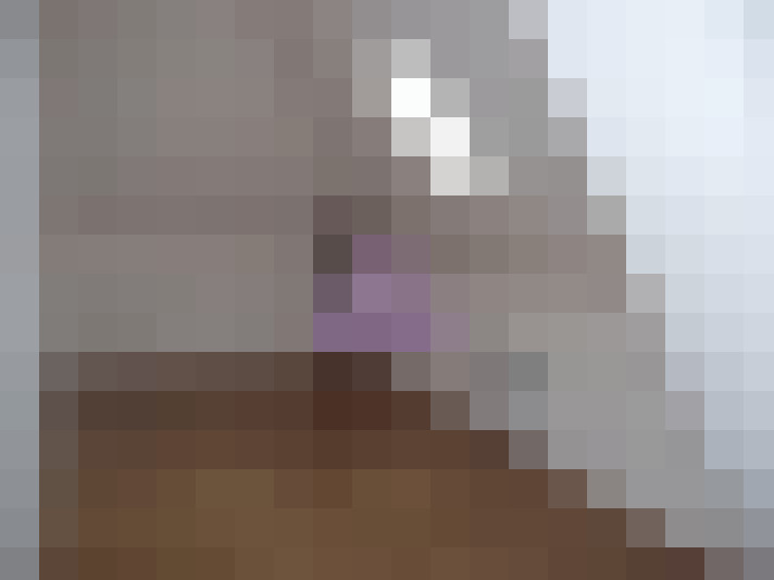  / #6