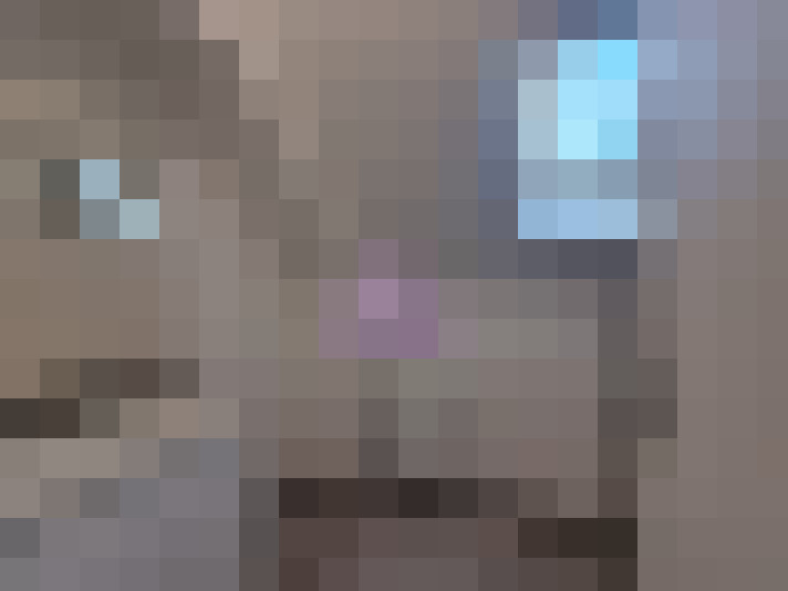  / #7