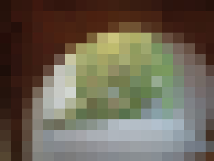  / #14