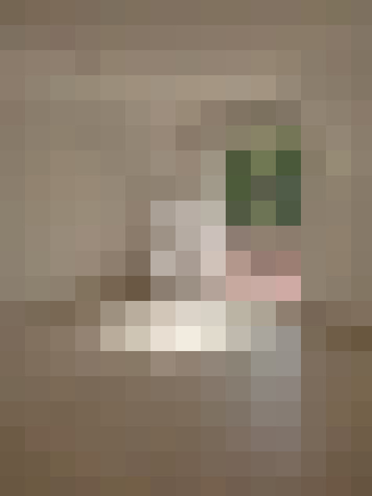  / #2