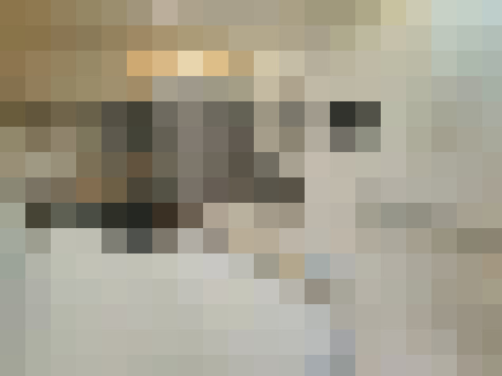  / #7