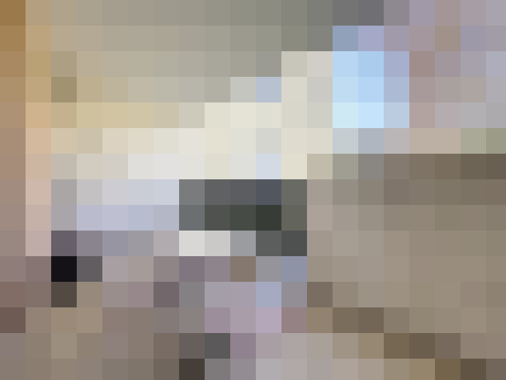  / #9