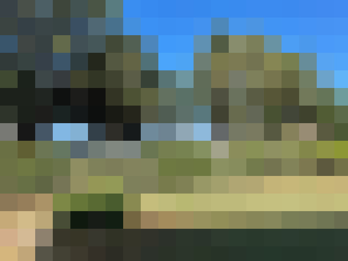  / #7