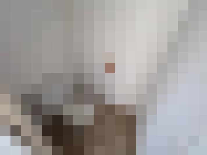  / #15