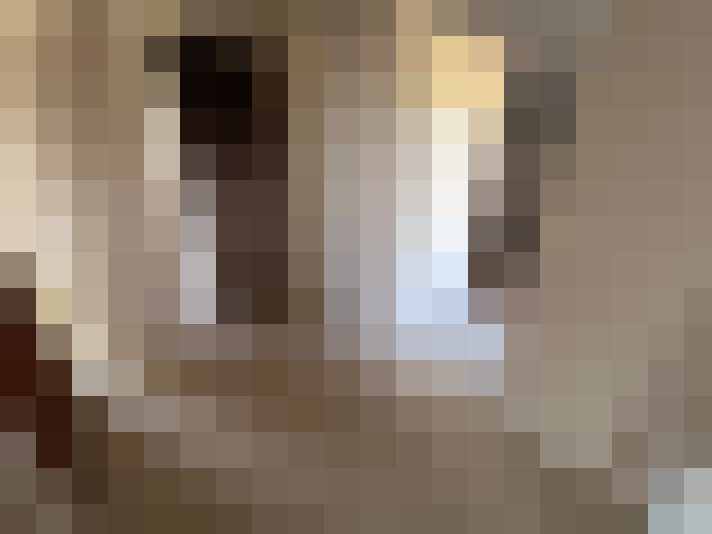  / #16