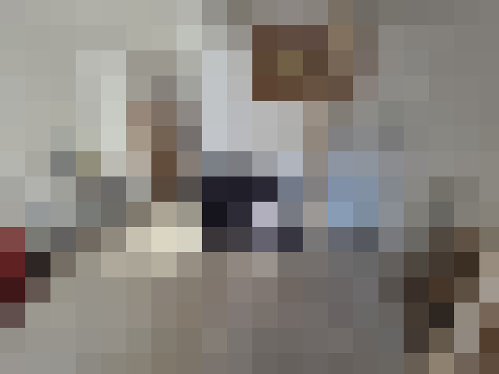  / #15