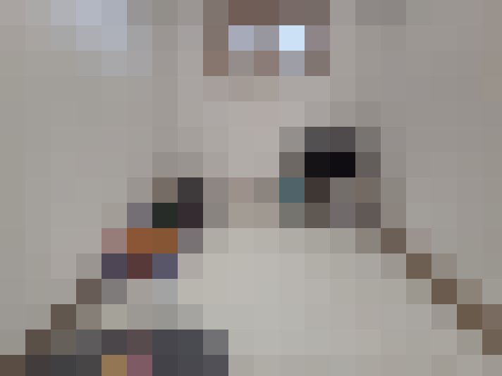  / #11
