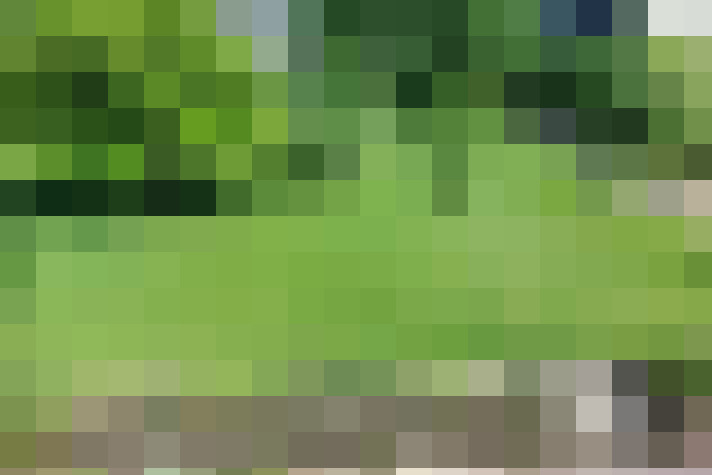  / #19