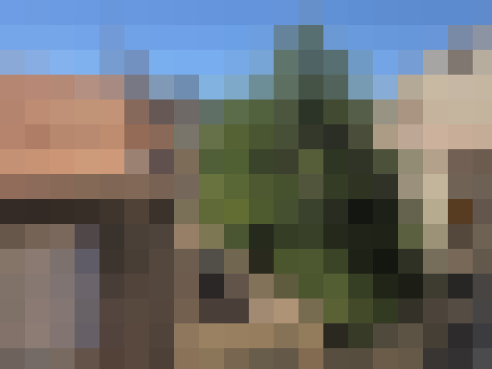  / #12