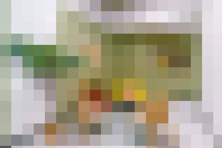  / #21