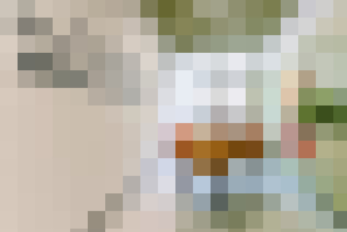  / #20